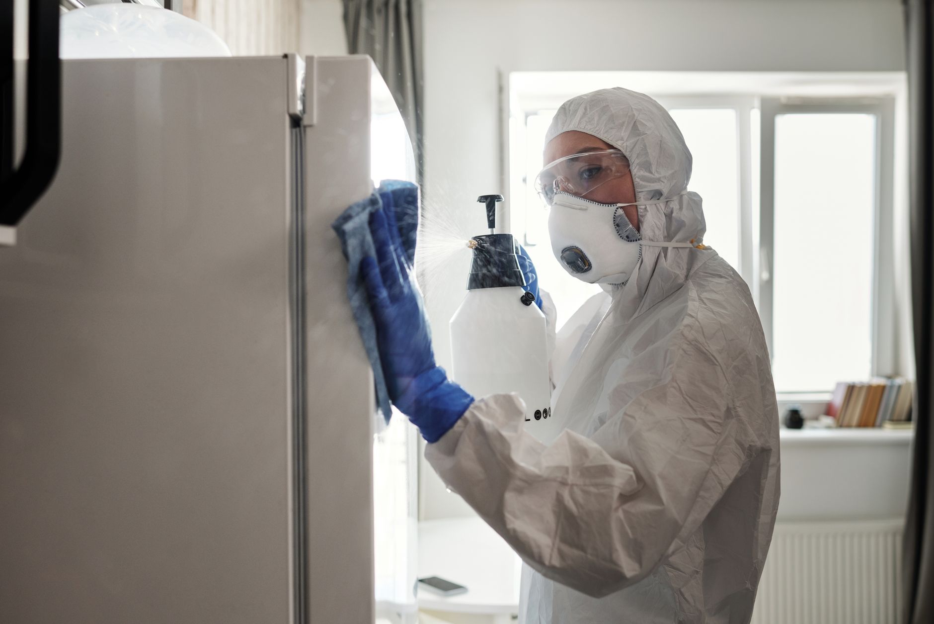 Wasp Nest Removal — Antonio Pest Control