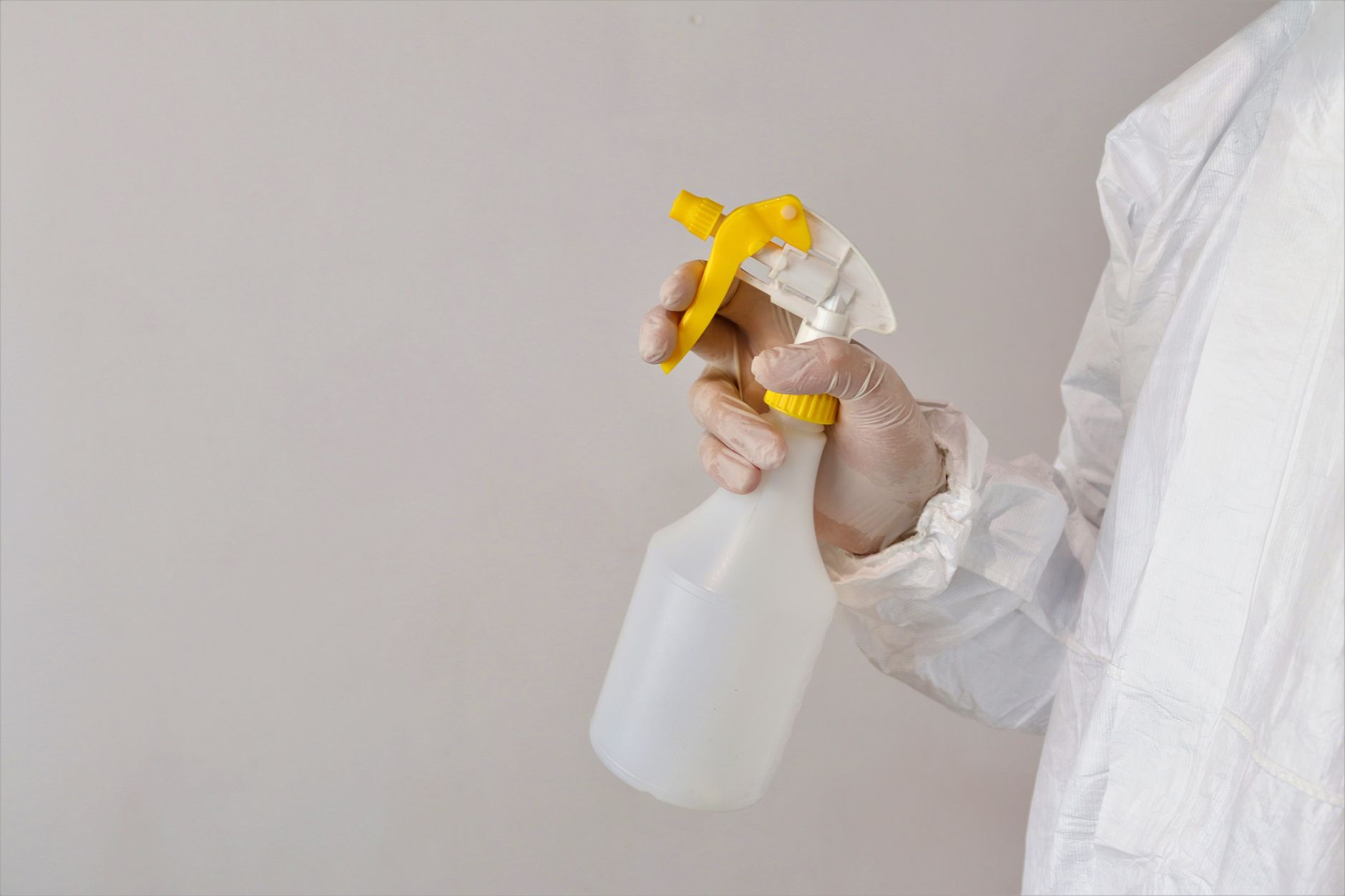 Spider Treatment — Antonio Pest Control
